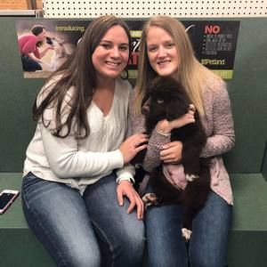 Meet your Posher, Sarah